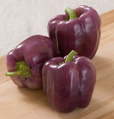 Pepper Transplant, Islander Variety
