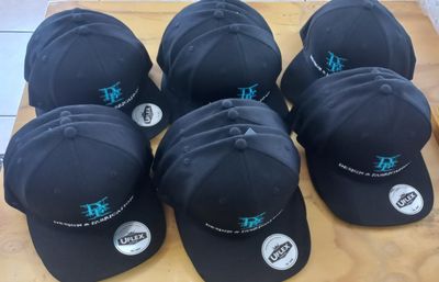 D&amp;F Company Branded Caps (Embroidered)