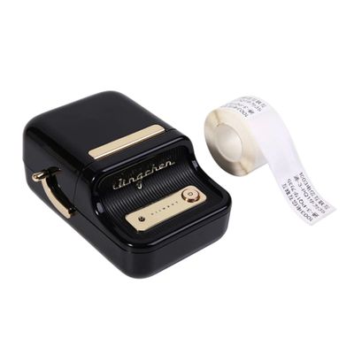 Niimbot B21 - Portable Thermal Label Printer