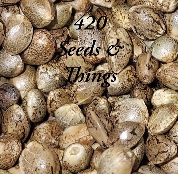 420 Seeds & Things
