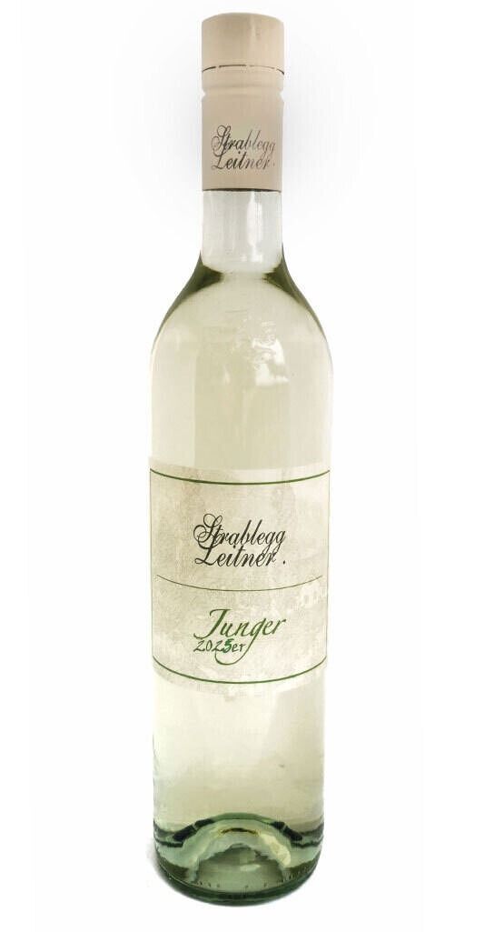 Junger 2025er