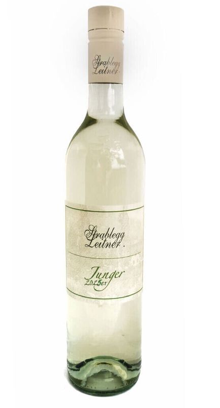 Junger 2025er