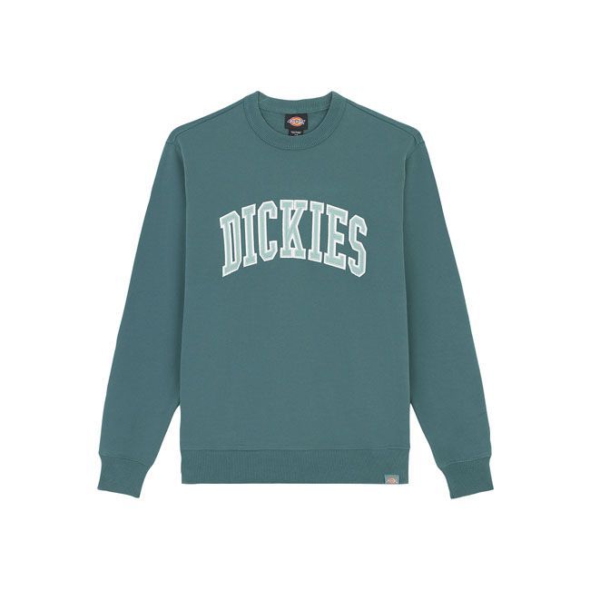 Sudadera Dickies Aitkin Sweatshirt green/surf Blue