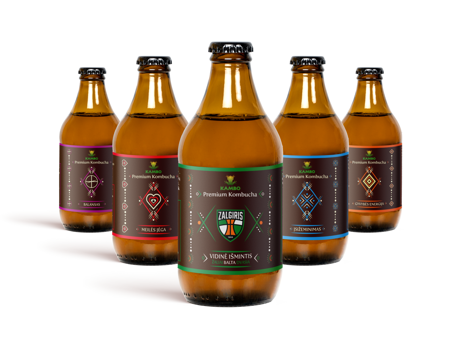 Kombucha skonių rinkinys (12vnt)