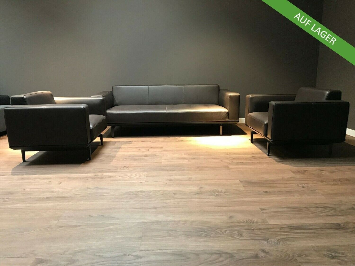 CAMERICH Sofa Modell Jane Slim Leder Mokka mit 2 Sesseln im Set, Top Zustand!