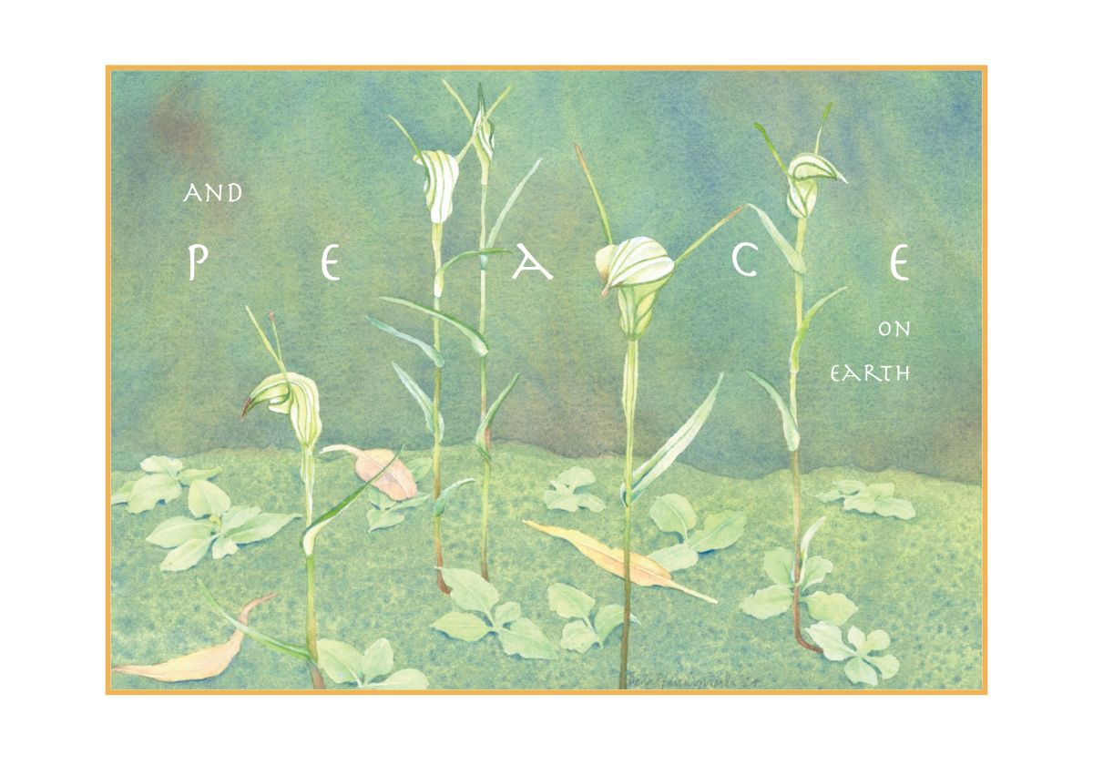 Christmas Card 2024 - Peace Goodwill