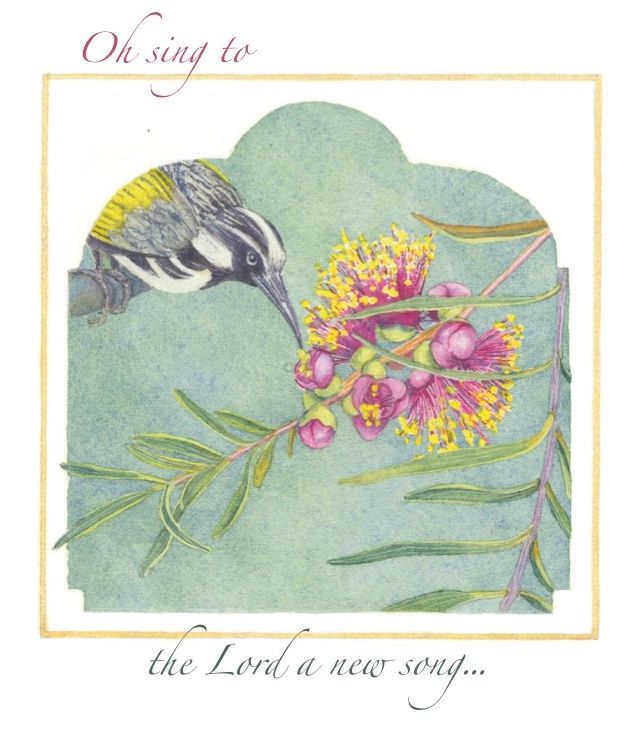 Honeyeater & callistemon (2016)