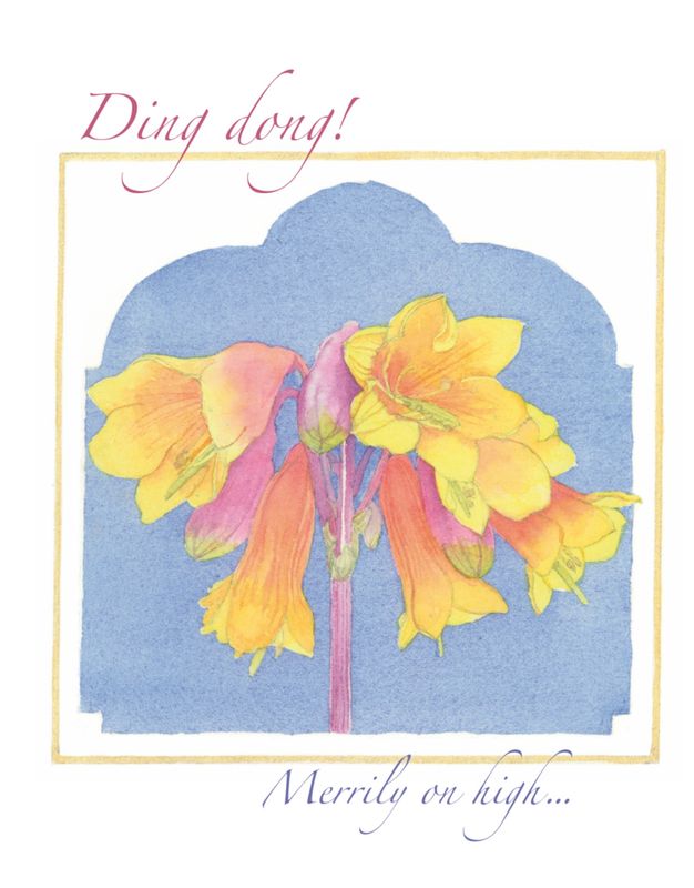 Ding dong (Australian Christmas bells) (2016)