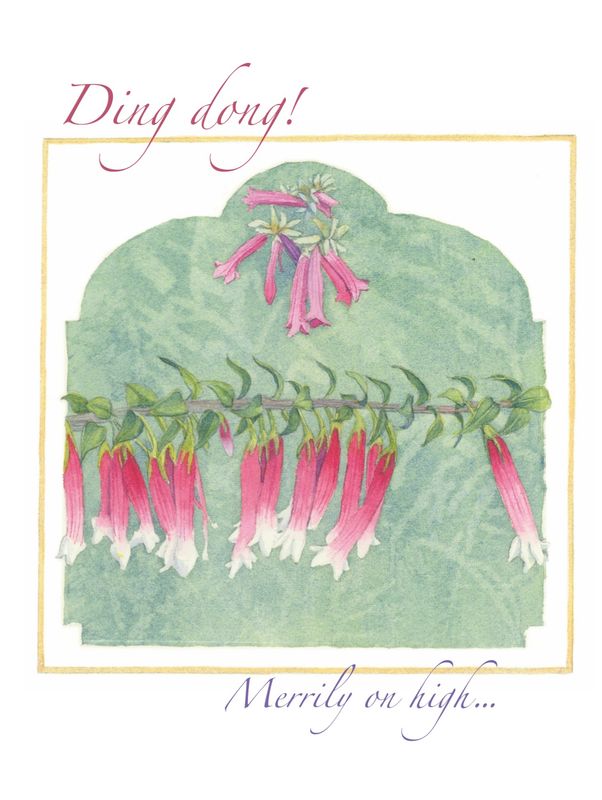 Ding dong (epacris) (2016)