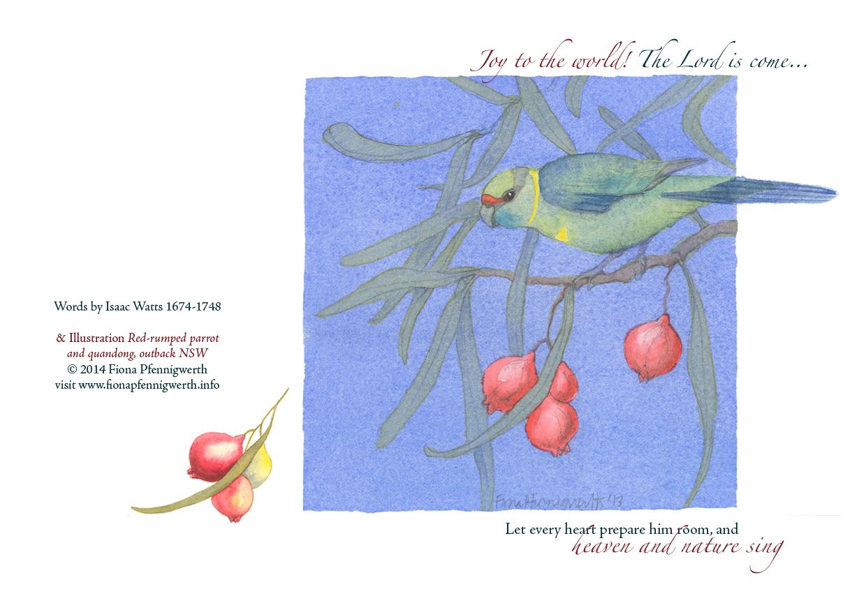 Joy (parrot and quandong) (2014)