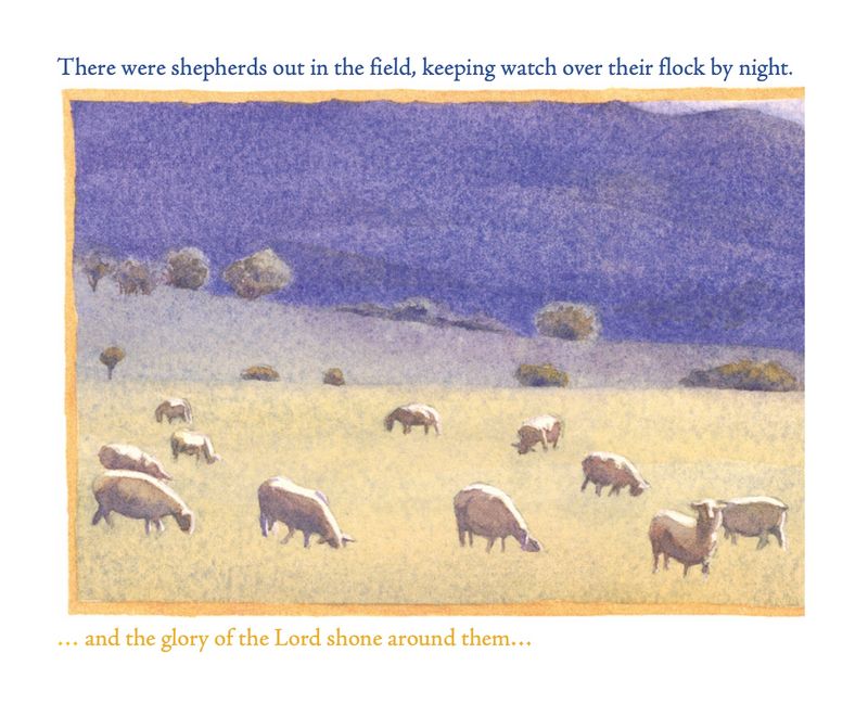Sheep in field (2025)