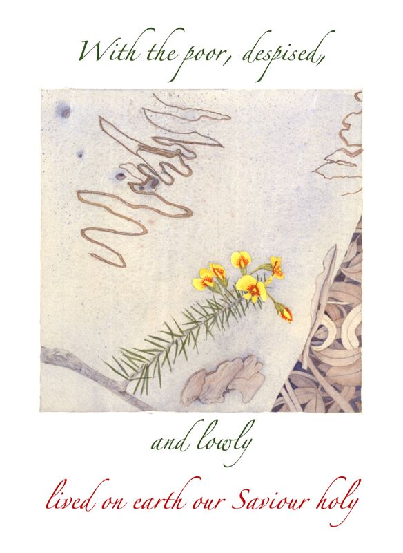 Lowly pea flower (2025)