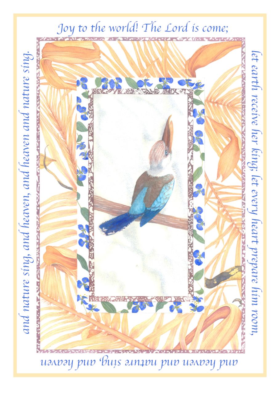 Kookaburra (2008)