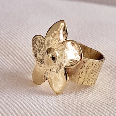 Anillos
