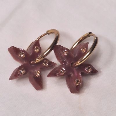 Caravanas Amelia Estrellitas