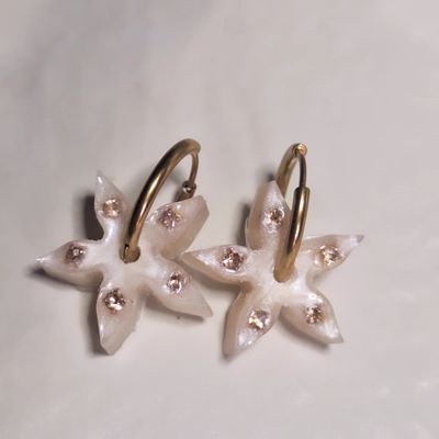 Caravanas Amelia estrellitas Nácar