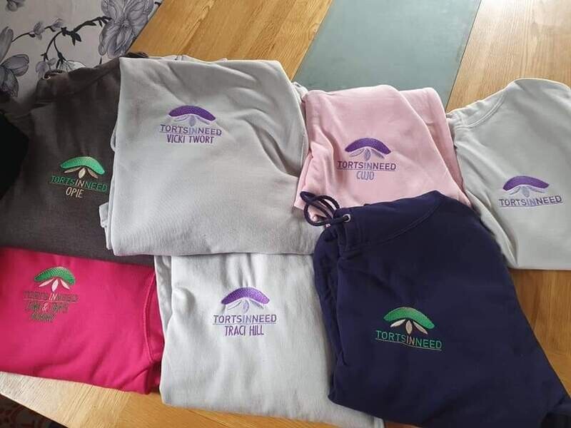 Torts In Need hoodie