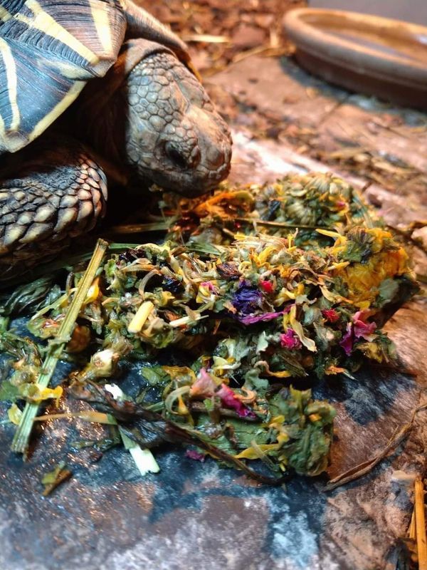 Dried marigold flowers 200g