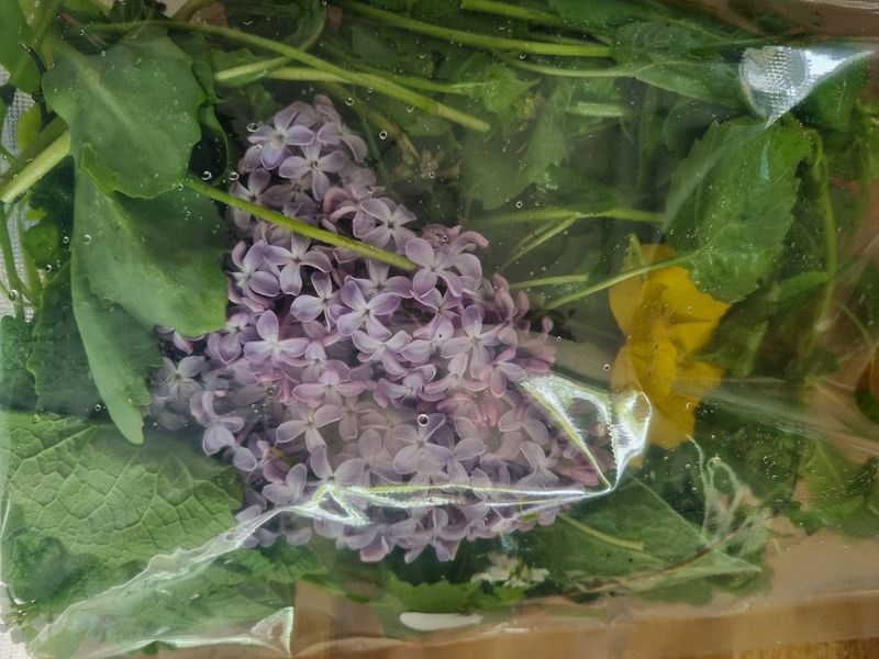 Fresh weeds and seasonal flowers 500g