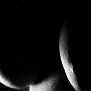 Desnudos