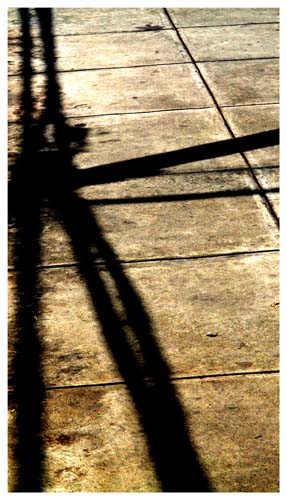 Sombras II