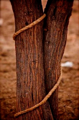 Bound