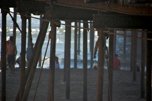Debajo del muelle