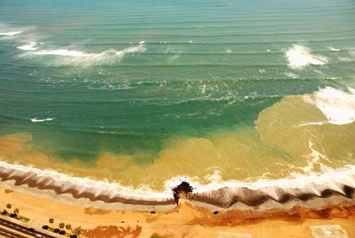 La Costa Verde (versión marrón)