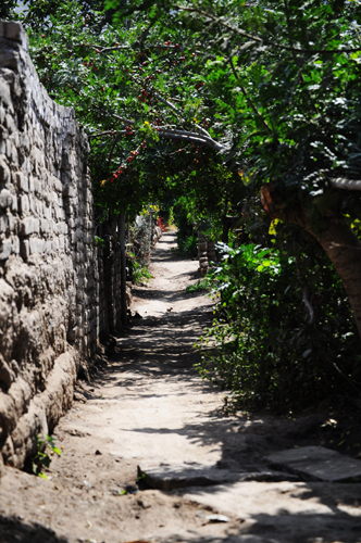 Camino