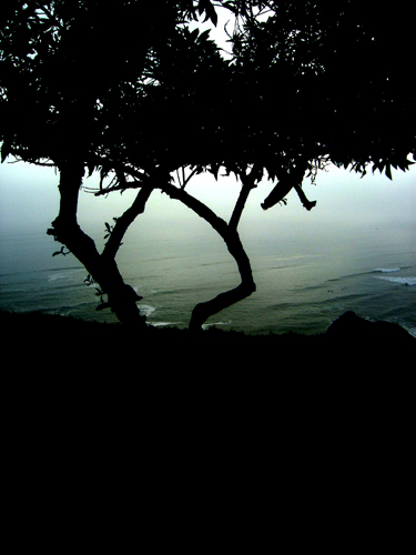 Horizonte