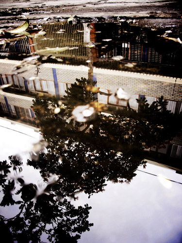 Reflejo