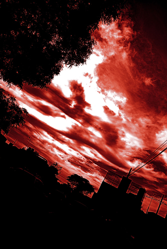 Rojo
