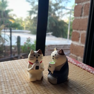 Las frases asociadas al gato