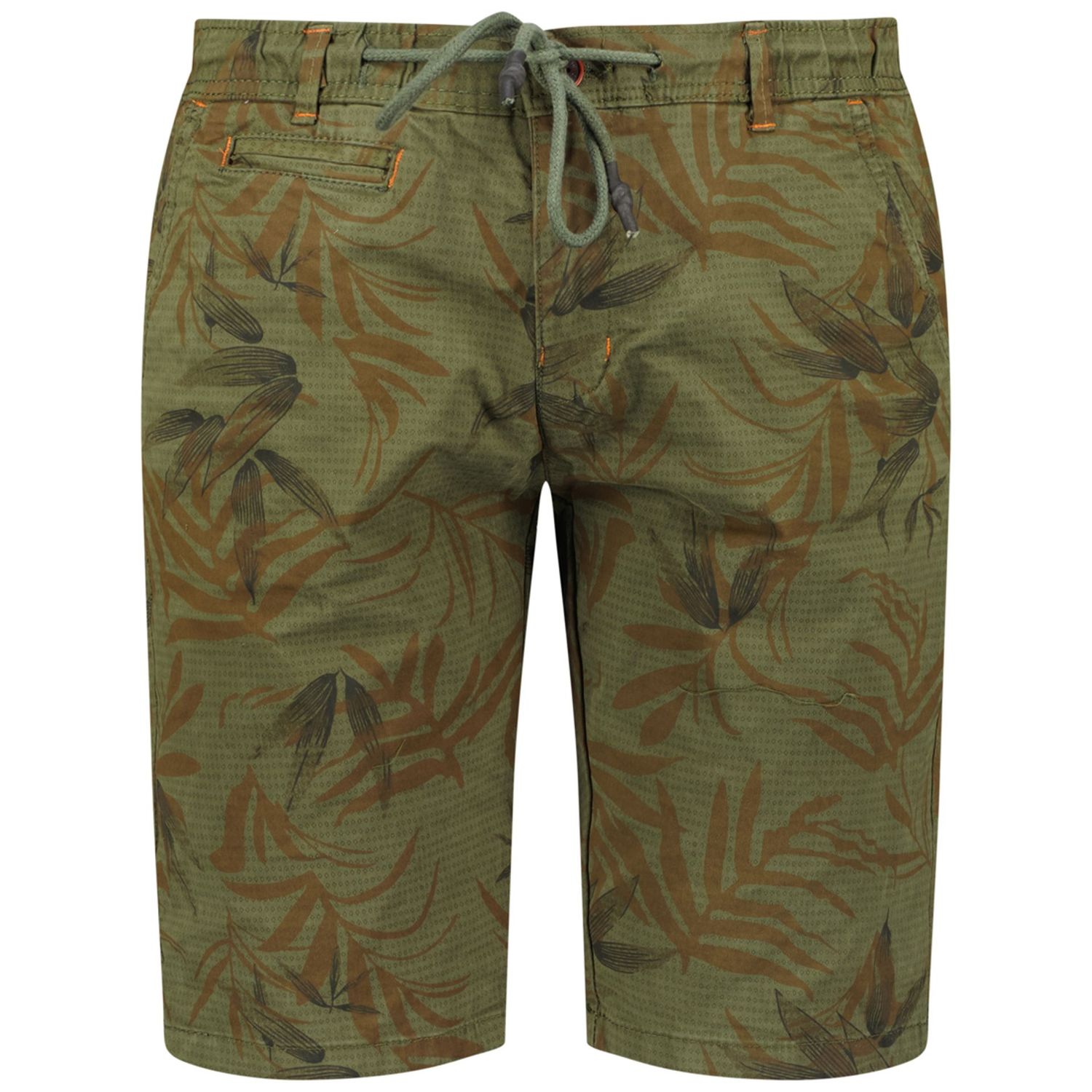 Geographical Norway PELLEX_233