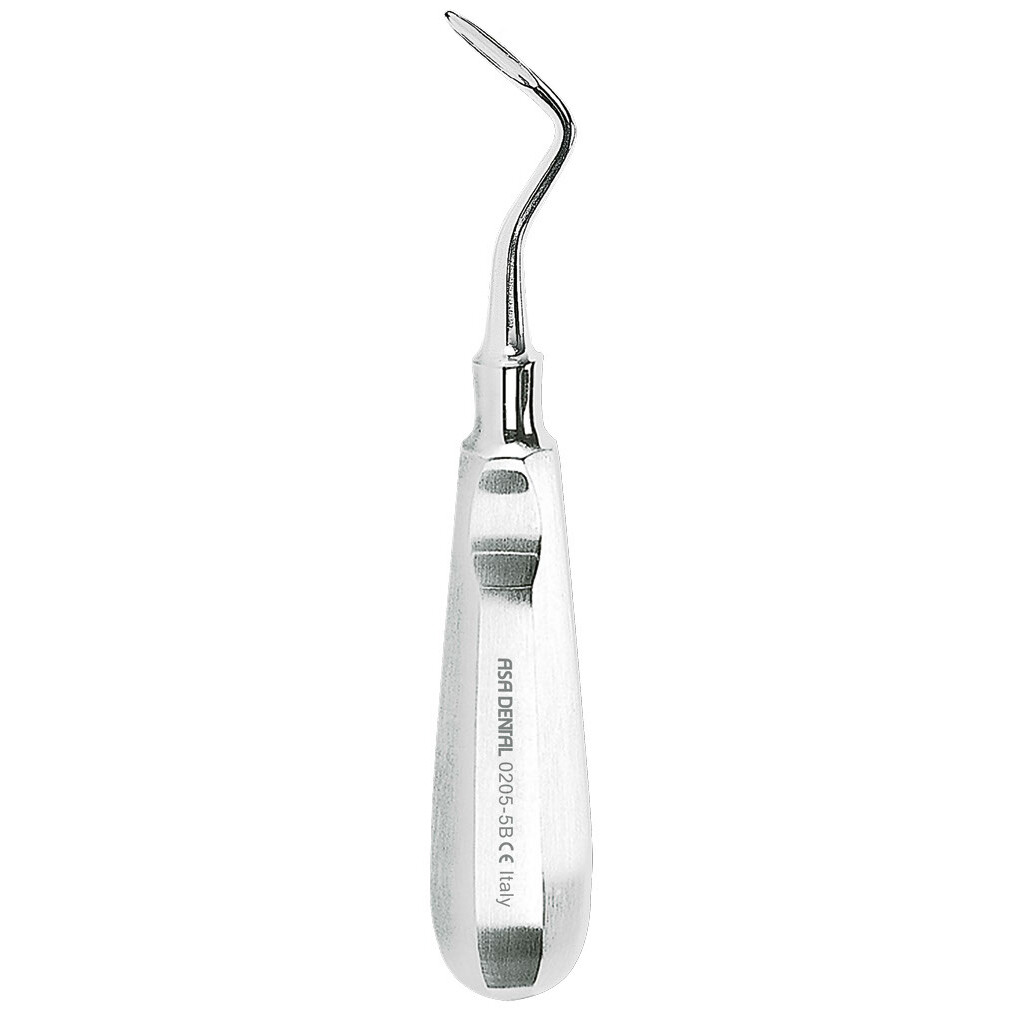ROOT ELEVATORS SCHMECKEBIER-APEXO N.5B CONCAVE TIP