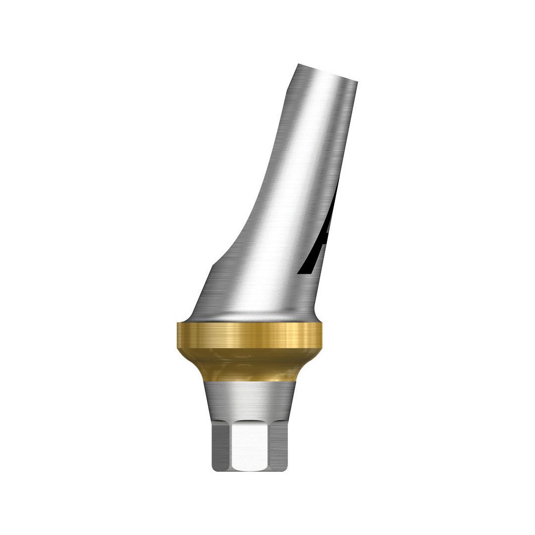 TS Angled Abutment Mini