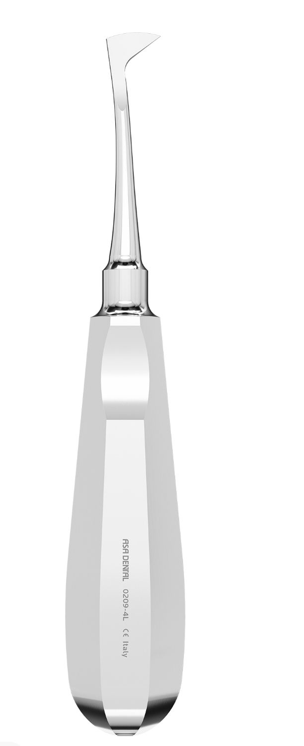 Root Elevator (Seldin) - Curved Left
