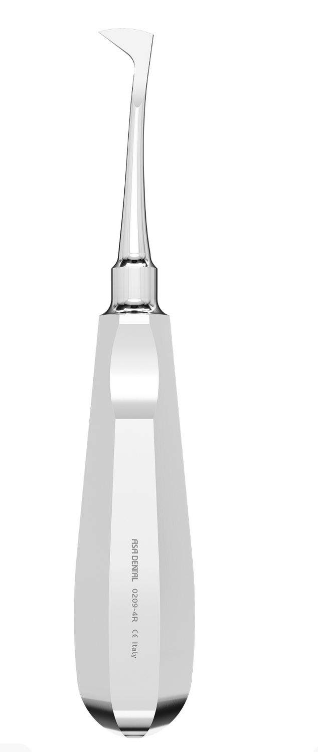 Root Elevator (Seldin) - Curved Right