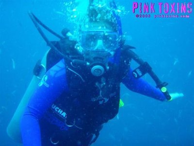 Whisper Scuba Dives