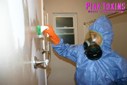 Whisper Destroys Mold
