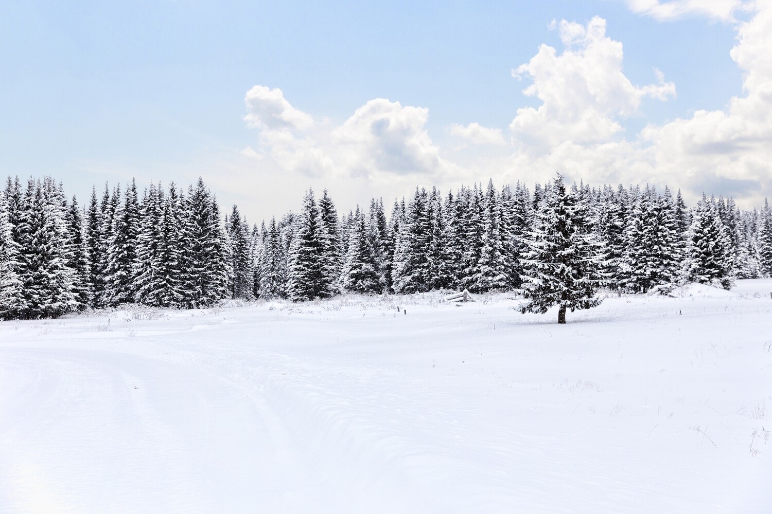 Woodland Snow Candle