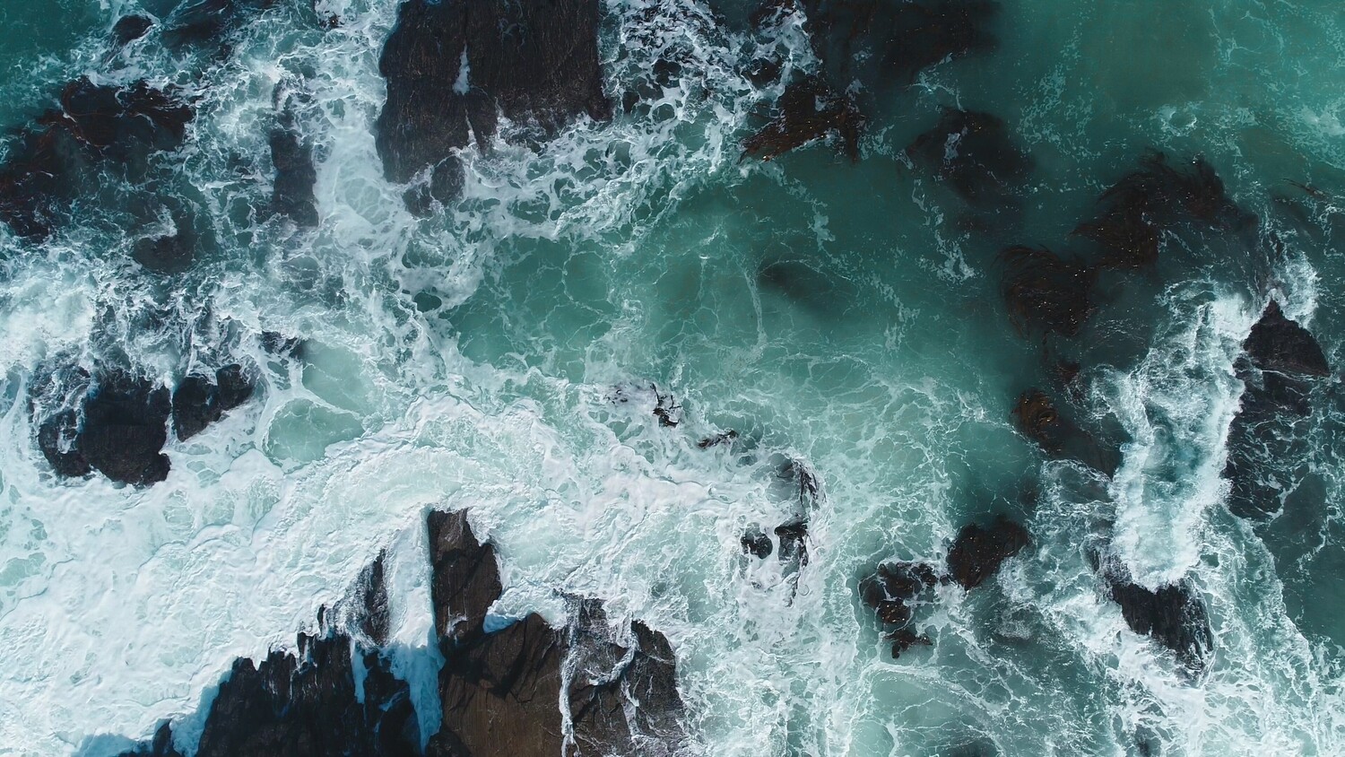 High Tide Wax Melt