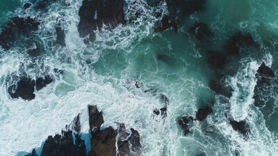 High Tide Wax Melt