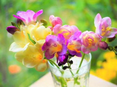 Freesia &amp; Lilac Wax Melt