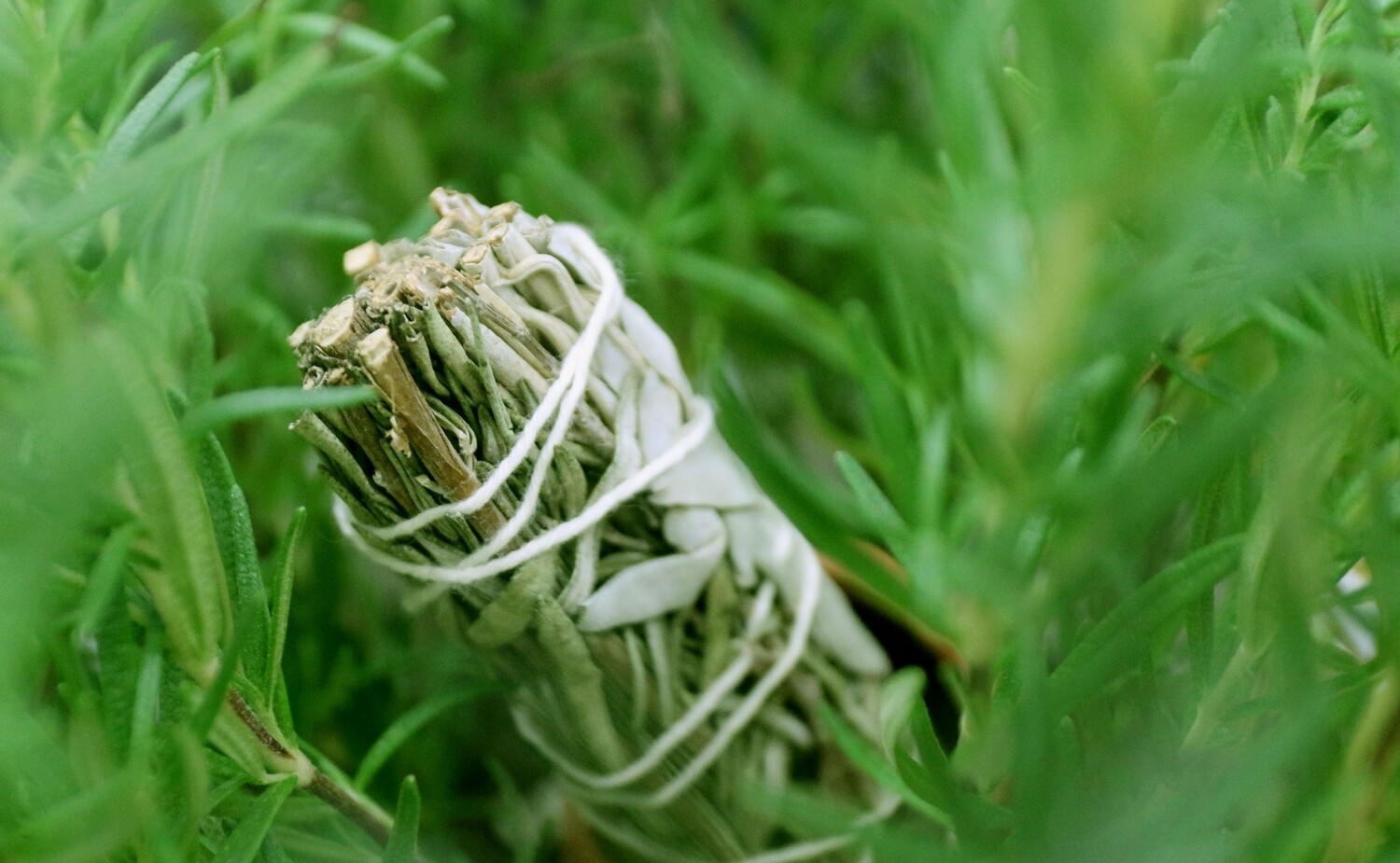 Rosemary Sage Cauldron