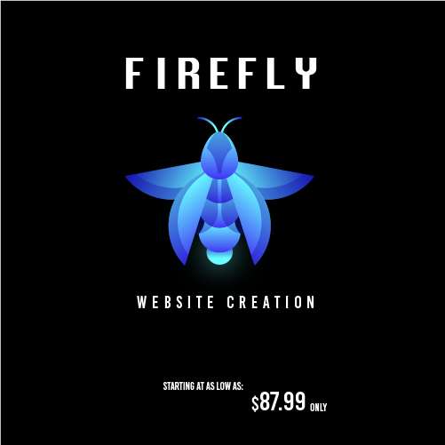 Ecommerce Website Creation