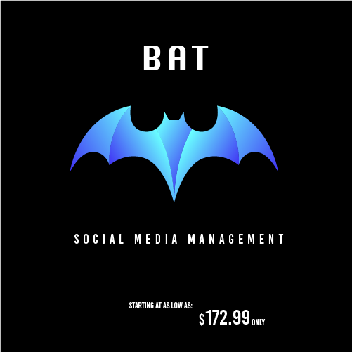 Social Media Management (Monthly)