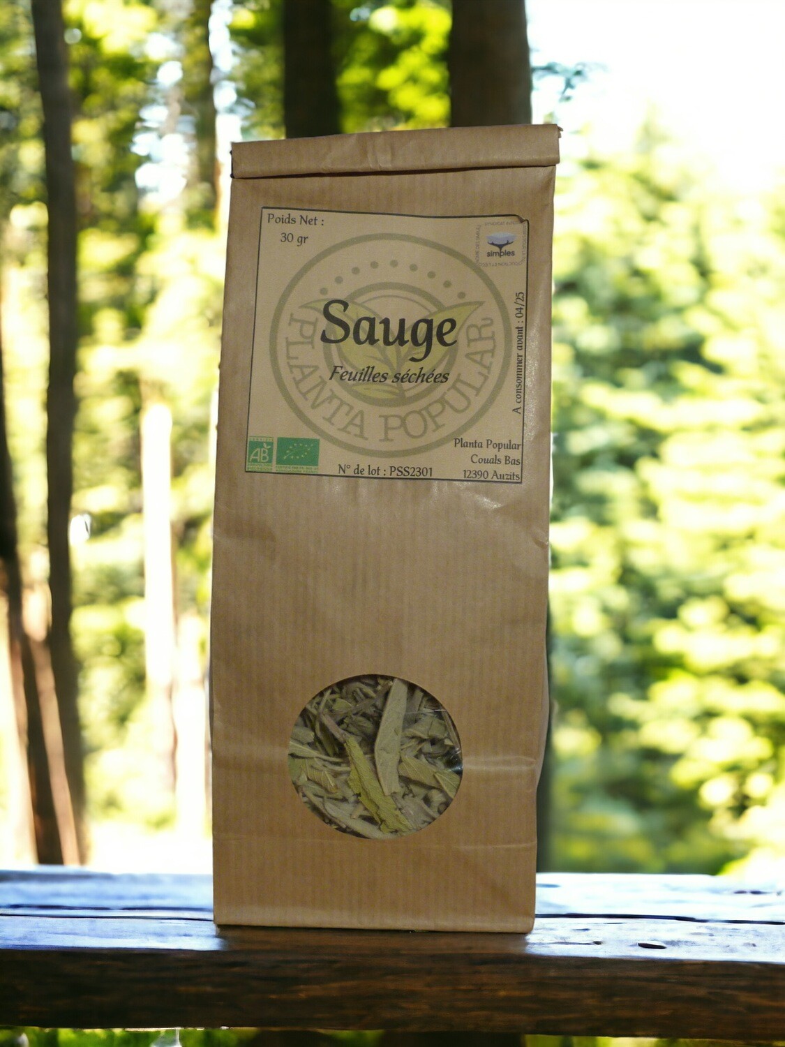 Sauge