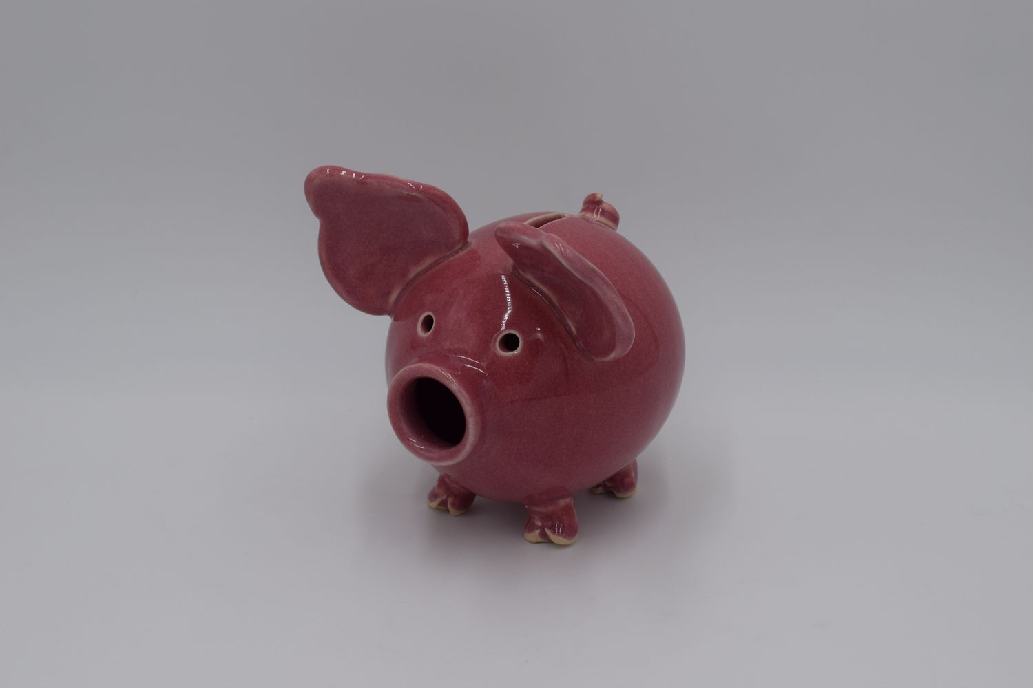 Pink Pig Bank