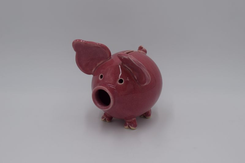 Pink Pig Bank